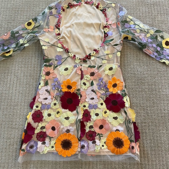 Taylor Swift Grammy Inspired Appliqué Floral Sheer Dress With Open Back Large - Picture 10 of 16